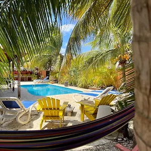 Gasthuis Oasis Guesthouse, Boutique Style, Playa